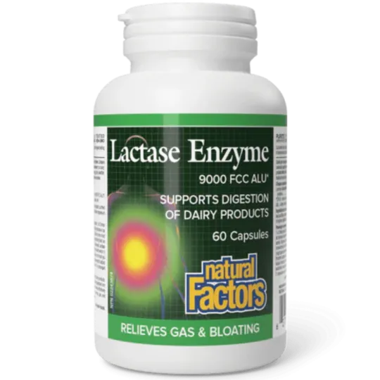 Natural Factors Lactase Enzyme, 60 Capsules | Unbeatable Prices, Daily Deals | VITASHOP