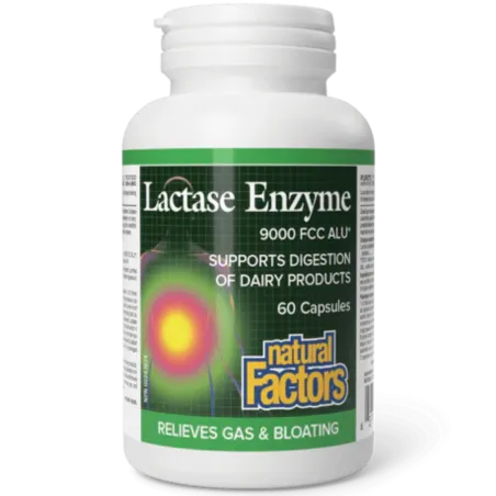 Natural Factors Lactase Enzyme, 60 Capsules | Unbeatable Prices, Daily Deals | VITASHOP