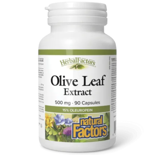 HerbalFactors Feuille d’Olivier 500 mg, 90 Capsules | Safest & Easiest Shopping Vitamins Online | VITASHOP