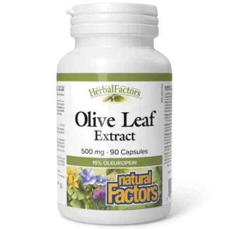 Natural Factors HerbalFactors Olive Leaf 500 mg, 90 Capsules | Unbeatable Prices, Daily Deals | VITASHOP