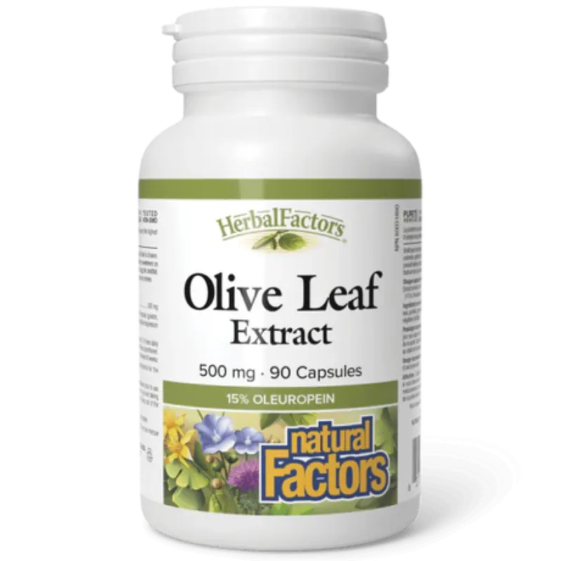 HerbalFactors Feuille d’Olivier 500 mg, 90 Capsules | Safest & Easiest Shopping Vitamins Online | VITASHOP