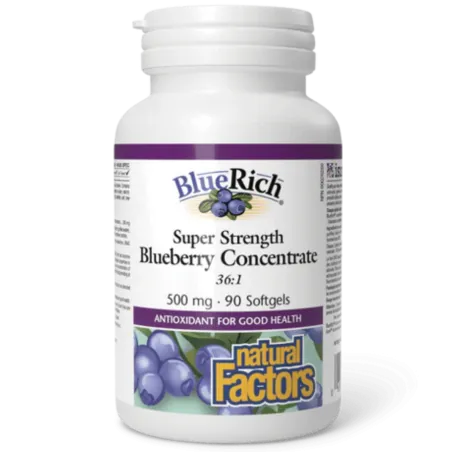 Natural Factors 내추럴 팩터스 BlueRich 초강력 블루베리 농축액 500mg, 소프트젤 90정 | 매일 업데이트되는 특가 상품 | VITASHOP