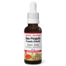 Natural Factors 내추럴 팩터스 꿀벌 프로폴리스 팅크 30mL | 매일 업데이트되는 특가 상품 | VITASHOP