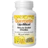 Natural Factors Quercetin LipoMicel 60 Softgels | Unbeatable Prices, Daily Deals | VITASHOP