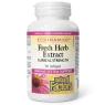 Natural Factors ECHINAMIDE Fresh Herb Extract Clinical Strength, 90 Softgels | Unbeatable Prices, Daily Deals | VITASHOP