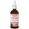 Natural Factors ECHINAMIDE Echinacea Fresh Herb Tincture, 100 mL | Unbeatable Prices, Daily Deals | VITASHOP