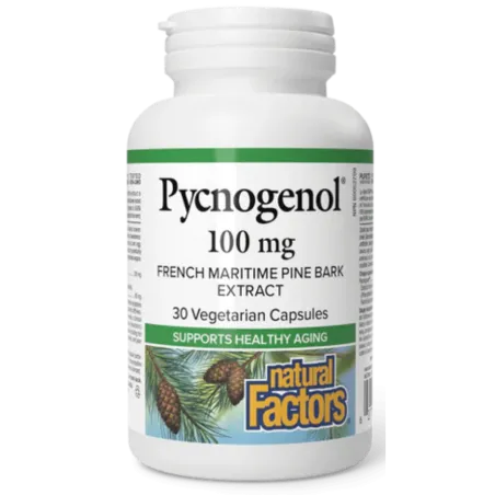 Natural Factors Pycnogenol 100 mg, 30 Vegetarian Capsules | Unbeatable Prices, Daily Deals | VITASHOP