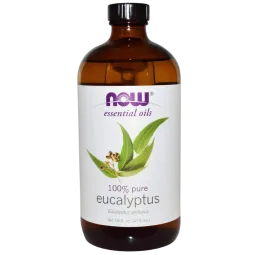 Huile d’eucalyptus globulus, 480 mL | Safest & Easiest Shopping Vitamins Online | VITASHOP