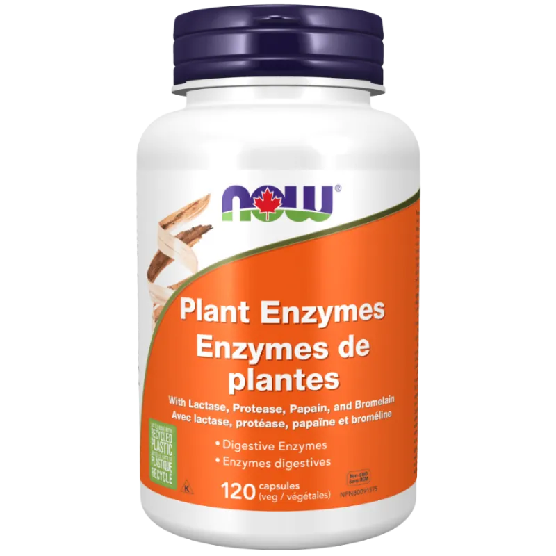 NOW Foods Plant Enzymes, 120 Veg Capsules | Unbeatable Prices, Daily Deals | VITASHOP