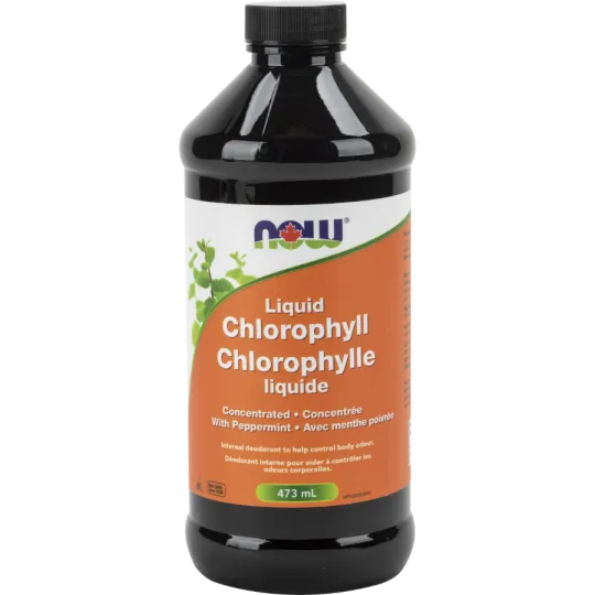NOW Foods 나우 푸드 액체 엽록소 페퍼민트, 473mL | 매일 업데이트되는 특가 상품 | VITASHOP