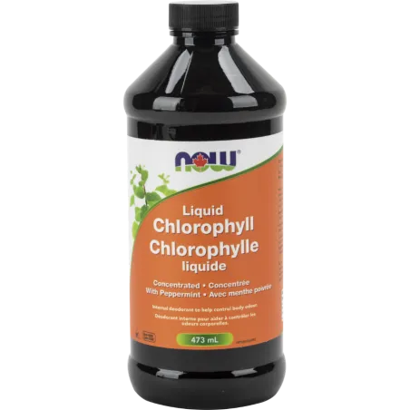 NOW Foods 나우 푸드 액체 엽록소 페퍼민트, 473mL | 매일 업데이트되는 특가 상품 | VITASHOP