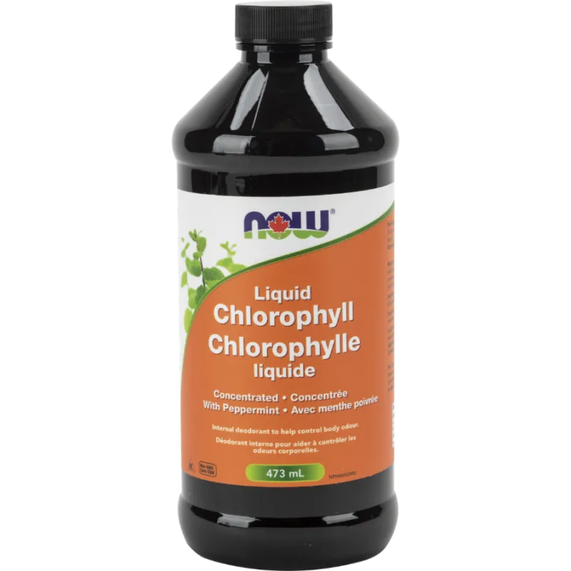 NOW Foods 나우 푸드 액체 엽록소 페퍼민트, 473mL | 매일 업데이트되는 특가 상품 | VITASHOP