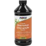 NOW Foods 나우 푸드 액체 엽록소 페퍼민트, 473mL | 매일 업데이트되는 특가 상품 | VITASHOP