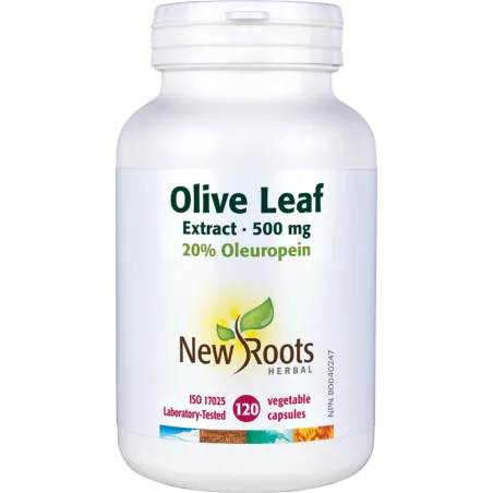 Olive Leaf Extract 500 mg 120 Capsules | Safest & Easiest Shopping Vitamins Online | VITASHOP