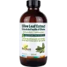 New Roots Olive Leaf Extract Antioxidant Peppermint Flavour 250 ml | 每天不同折扣, 全网最低价格 | 种类齐全的保健品店铺 VITASHOP, 只有你想不到, 没有你买不到 !