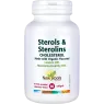 New Roots Sterols & Sterolins Cholesterol 60 Softgels | 每天不同折扣, 全网最低价格 | 种类齐全的保健品店铺 VITASHOP, 只有你想不到, 没有你买不到 !