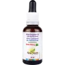 New Roots Wild Oregano C93 Extra Strong 1:3 Blend Oregano Oil to Olive Oil 30 ml | Unbeatable Prices, Daily Deals | VITASHOP