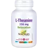 New Roots 뉴 루츠 L-테아닌 250mg 30캡슐 | 매일 업데이트되는 특가 상품 | VITASHOP