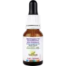 New Roots 뉴 루츠 와일드 오레가노 C93 with Garlic 15ml | 매일 업데이트되는 특가 상품 | VITASHOP