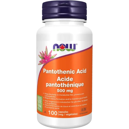 NOW Foods 나우 푸드 판토텐산 500 mg, 100 캡슐 | 매일 업데이트되는 특가 상품 | VITASHOP