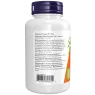 NOW Foods Astragalus 500 mg, 100 Capsules | Unbeatable Prices, Daily Deals | VITASHOP