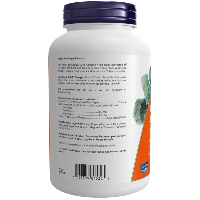 NOW Foods 나우 푸드 적색 광물 조류, 180 식물성 캡슐 | 매일 업데이트되는 특가 상품 | VITASHOP