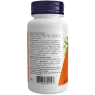 NOW Foods 나우 푸드 Panax 인삼 추출물 500mg, 식물성 캡슐 100정 | 매일 업데이트되는 특가 상품 | VITASHOP