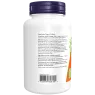 NOW Foods 나우 푸드 캣츠 클로 500 mg, 100 캡슐 | 매일 업데이트되는 특가 상품 | VITASHOP