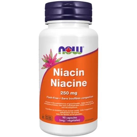 NOW Foods 나우 푸드 나이아신 홍조 없음 250mg 90 식물성 캡슐 | 매일 업데이트되는 특가 상품 | VITASHOP