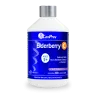 CanPrev Elderberry C Liquid 500ml Berry Burst | Unbeatable Prices, Daily Deals | VITASHOP
