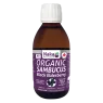 Platinum Elderberry Syrup Organic 300 ml | Safest & Easiest Shopping Vitamins Online | VITASHOP