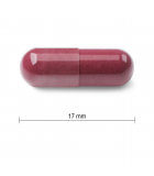 Jamieson Resveratrol Red Wine Extract w Grape Seed 30 Capsules | Unbeatable Prices, Daily Deals | VITASHOP