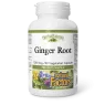 HerbalFactors Racine de gingembre 1200 mg, 90 capsules végétariennes | Safest & Easiest Shopping Vitamins Online | VITASHOP