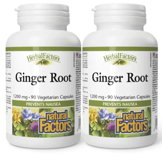 Natural Factors [2 for Deal] 내추럴 팩터스 HerbalFactors 생강 뿌리 1200mg, 식물성 캡슐 90정 | 매일 업데이트되는 특가 상품 | VITASHOP