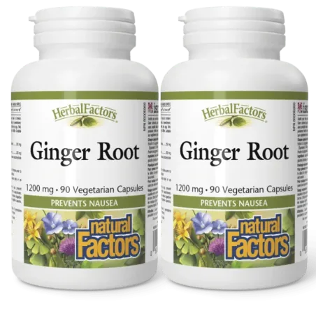 Natural Factors [2 for Deal] 내추럴 팩터스 HerbalFactors 생강 뿌리 1200mg, 식물성 캡슐 90정 | 매일 업데이트되는 특가 상품 | VITASHOP