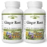 Natural Factors [2 for Deal] 내추럴 팩터스 HerbalFactors 생강 뿌리 1200mg, 식물성 캡슐 90정 | 매일 업데이트되는 특가 상품 | VITASHOP