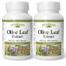 Natural Factors [2 for Deal] 내추럴 팩터스 HerbalFactors 올리브 잎 500 mg, 90 캡슐 | 매일 업데이트되는 특가 상품 | VITASHOP