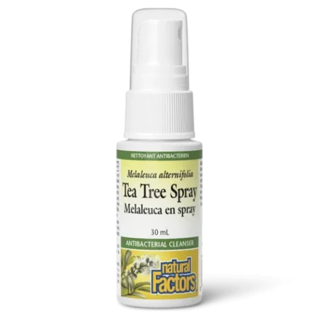Natural Factors 내추럴 팩터스 티트리 스프레이 30mL | 매일 업데이트되는 특가 상품 | VITASHOP