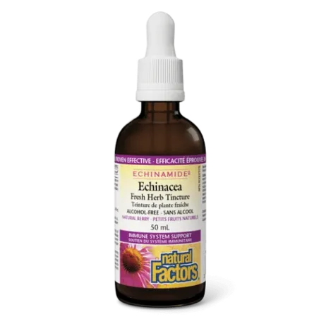 Natural Factors ECHINAMIDE Echinacea Alcohol-Free Fresh Herb Tincture, 50 mL | 每天不同折扣, 全网最低价格 | 种类齐全的保健品店铺 VITASHOP, 只有你想不到, 没有你