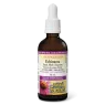 Natural Factors ECHINAMIDE Echinacea Alcohol-Free Fresh Herb Tincture, 50 mL | 每天不同折扣, 全网最低价格 | 种类齐全的保健品店铺 VITASHOP, 只有你想不到, 没有你