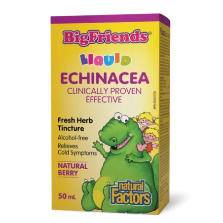 Natural Factors Big Friends Echinacea Fresh Herb Tincture Alcohol-free 50 ml | Unbeatable Prices, Daily Deals | VITASHOP