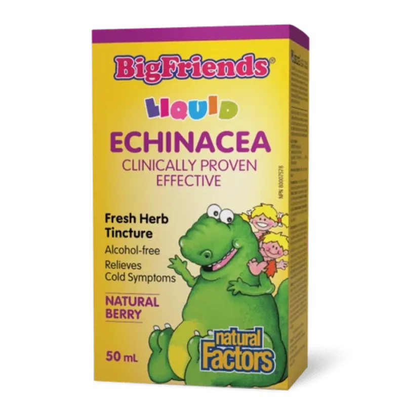Natural Factors Big Friends Echinacea Fresh Herb Tincture Alcohol-free 50 ml | Unbeatable Prices, Daily Deals | VITASHOP