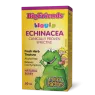 Natural Factors Big Friends Échinacée Teinture sans alcool 50 ml