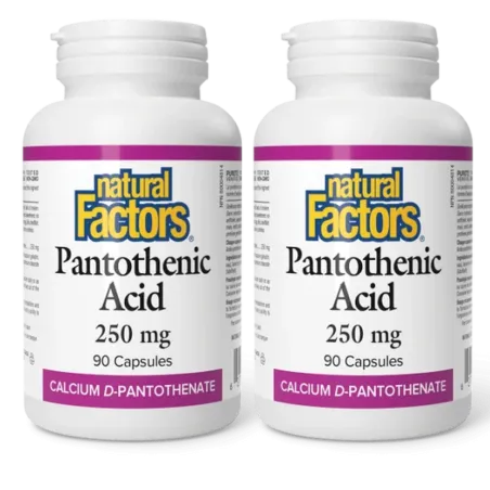 Natural Factors [2 FOR DEAL] Pantothenic Acid 250 mg, 90 Capsules | 매일 업데이트되는 특가 상품 | VITASHOP