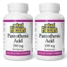 Natural Factors [2 FOR DEAL] Pantothenic Acid 250 mg, 90 Capsules | 매일 업데이트되는 특가 상품 | VITASHOP