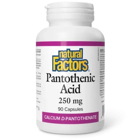Natural Factors Pantothenic Acid 250 mg, 90 Capsules | Unbeatable Prices, Daily Deals | VITASHOP