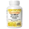 Natural Factors Quercetin LipoMicel Matrix, 120 Softgels | Unbeatable Prices, Daily Deals | VITASHOP