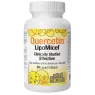 Natural Factors 내추럴 팩터스 Quercetin LipoMicel 매트릭스 250 mg, 30 소프트젤 | 매일 업데이트되는 특가 상품 | VITASHOP