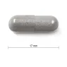Jamieson Myrtille 2000 mg 60 capsules | Safest & Easiest Shopping Vitamins Online | VITASHOP
