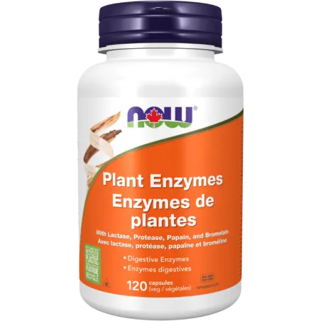 NOW Foods Plant Enzymes 120 Vegetable Capsules | Unbeatable Prices, Daily Deals | VITASHOP